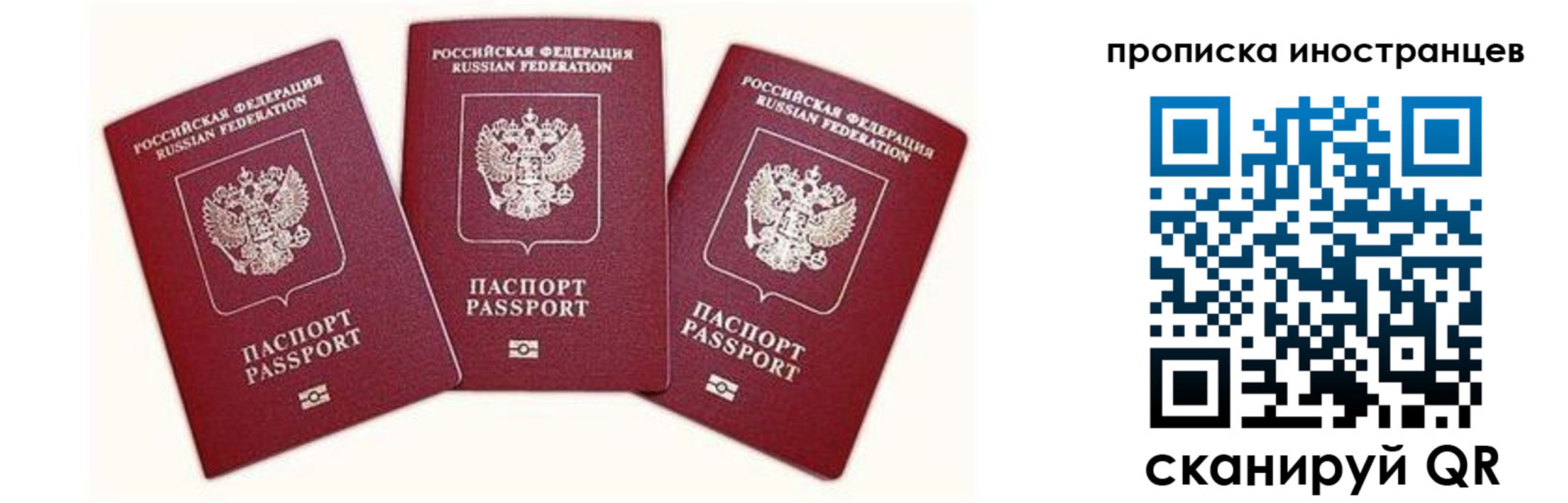 прописка в Судогде
